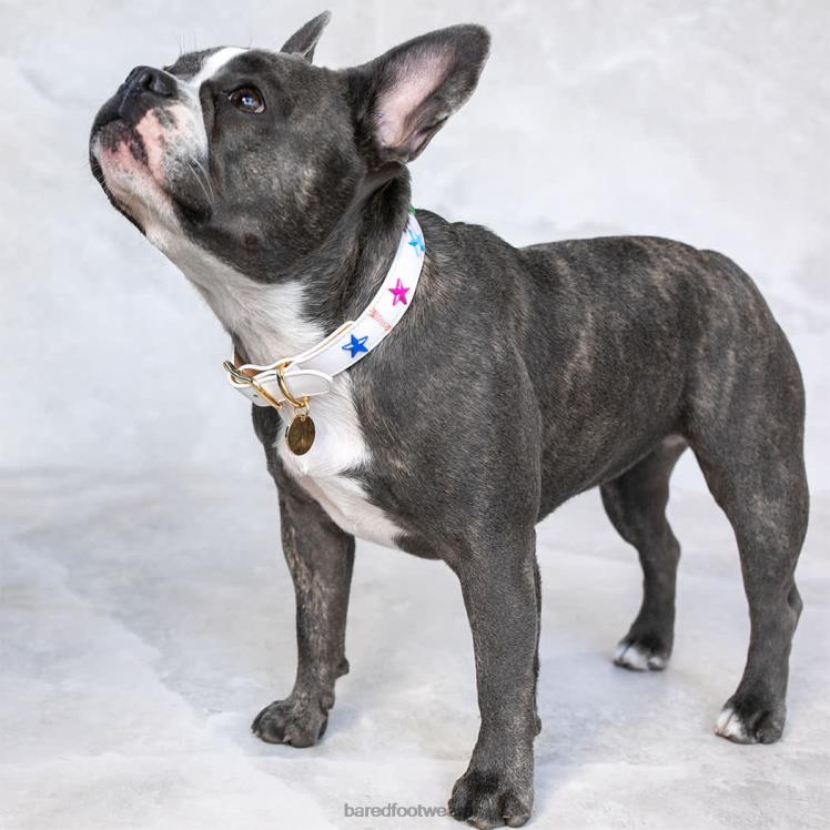 Bared Footwear unisexo collar de perro cuero blanco 4Z004321