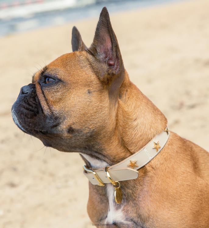 Bared Footwear unisexo collar de perro cuero crudo 4Z004323