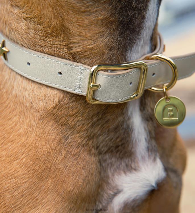Bared Footwear unisexo collar de perro cuero crudo 4Z004323