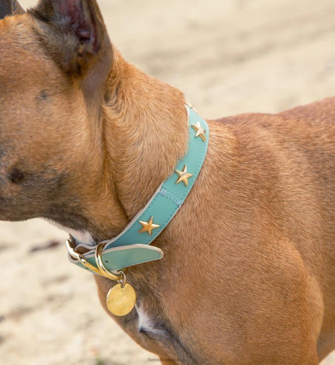 Bared Footwear unisexo collar de perro cuero de espuma de mar 4Z004322