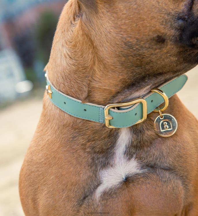 Bared Footwear unisexo collar de perro cuero de espuma de mar 4Z004322