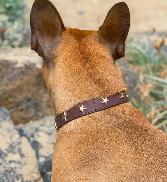 Bared Footwear unisexo collar de perro cuero marrón 4Z004358