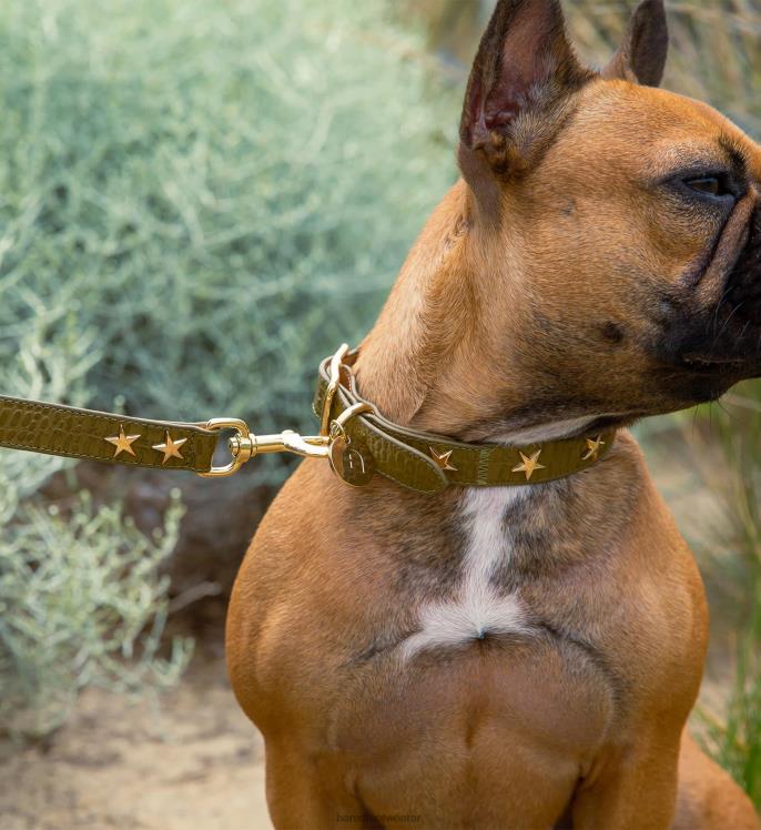 Bared Footwear unisexo collar de perro y plomo cuero repujado de cocodrilo verde 4Z004326