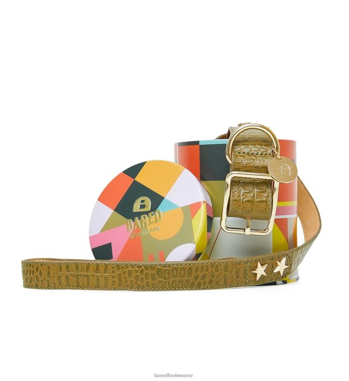 Bared Footwear unisexo collar de perro y plomo cuero repujado de cocodrilo verde 4Z004326