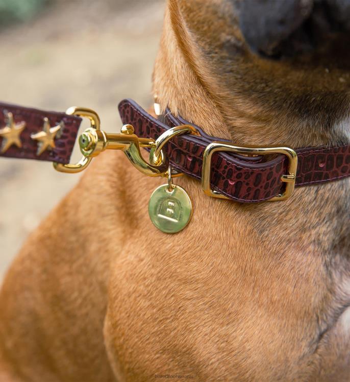 Bared Footwear unisexo collar de perro y plomo piel de cocodrilo burdeos 4Z004324